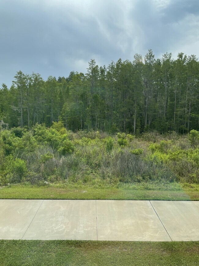 Building Photo - "Charming 3-Bedroom Wesley Chapel Home with Granite Finishes & Spacious 1,807 Sq Ft great Layout....