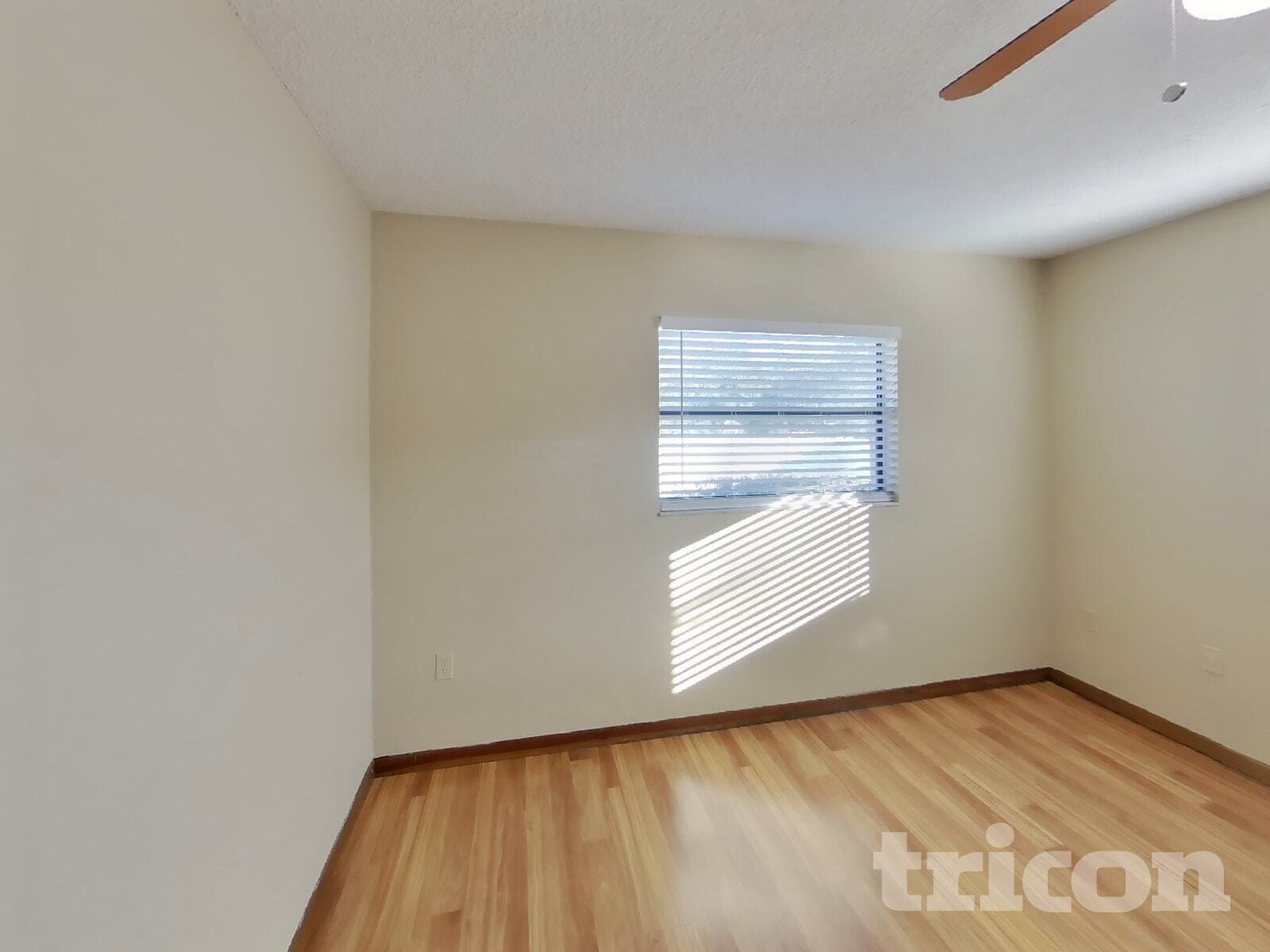 Building Photo - 4906 Keysville Ave