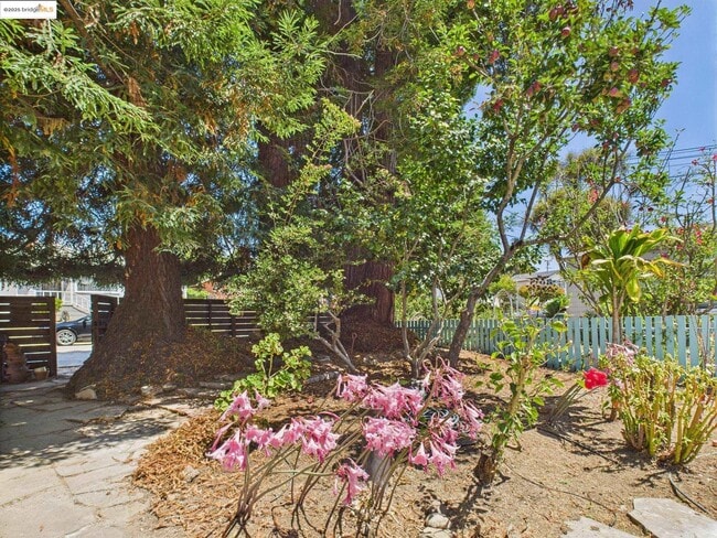 Building Photo - 1545 Mariposa St