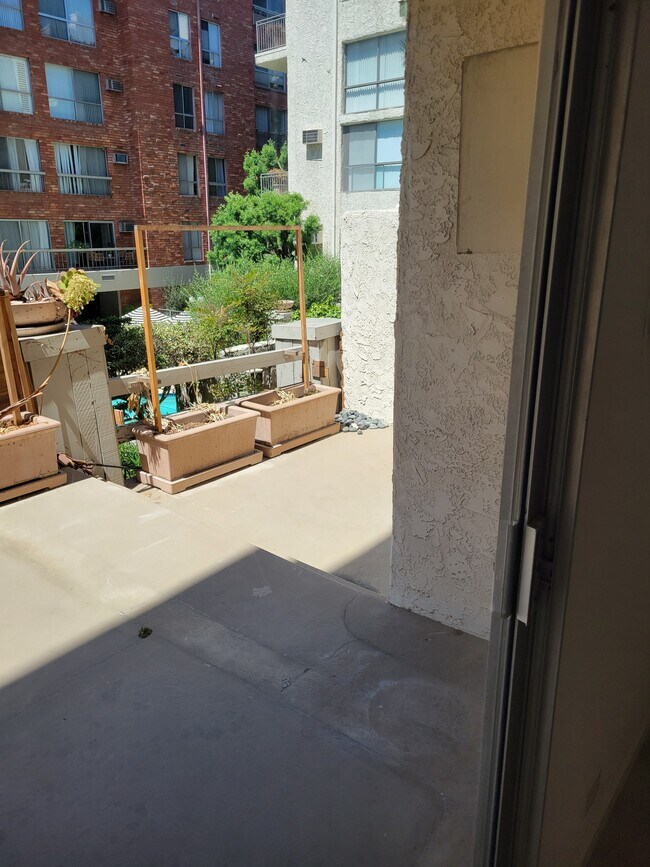 large patio - 1440 Veteran Ave