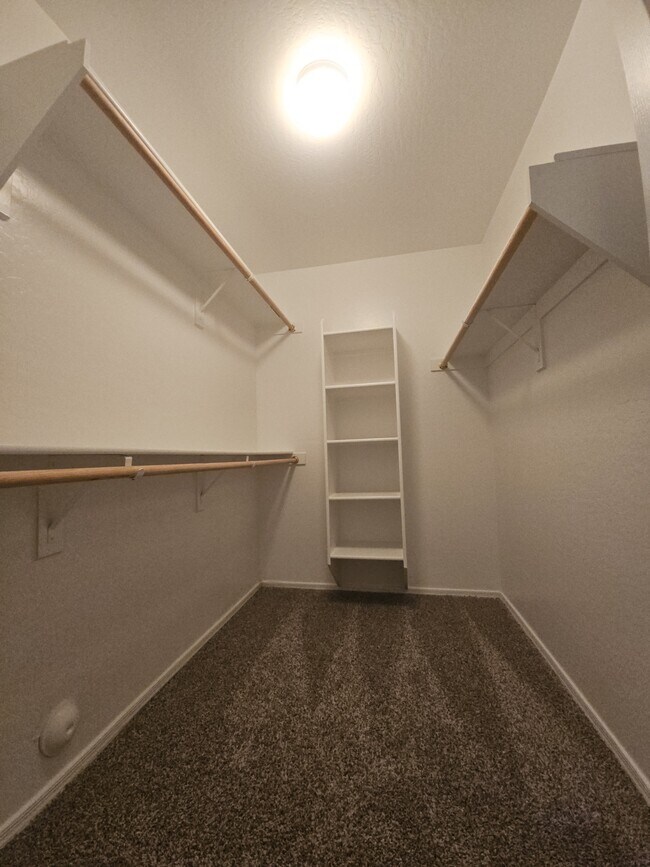 Building Photo - 2569 E Silversmith Trail