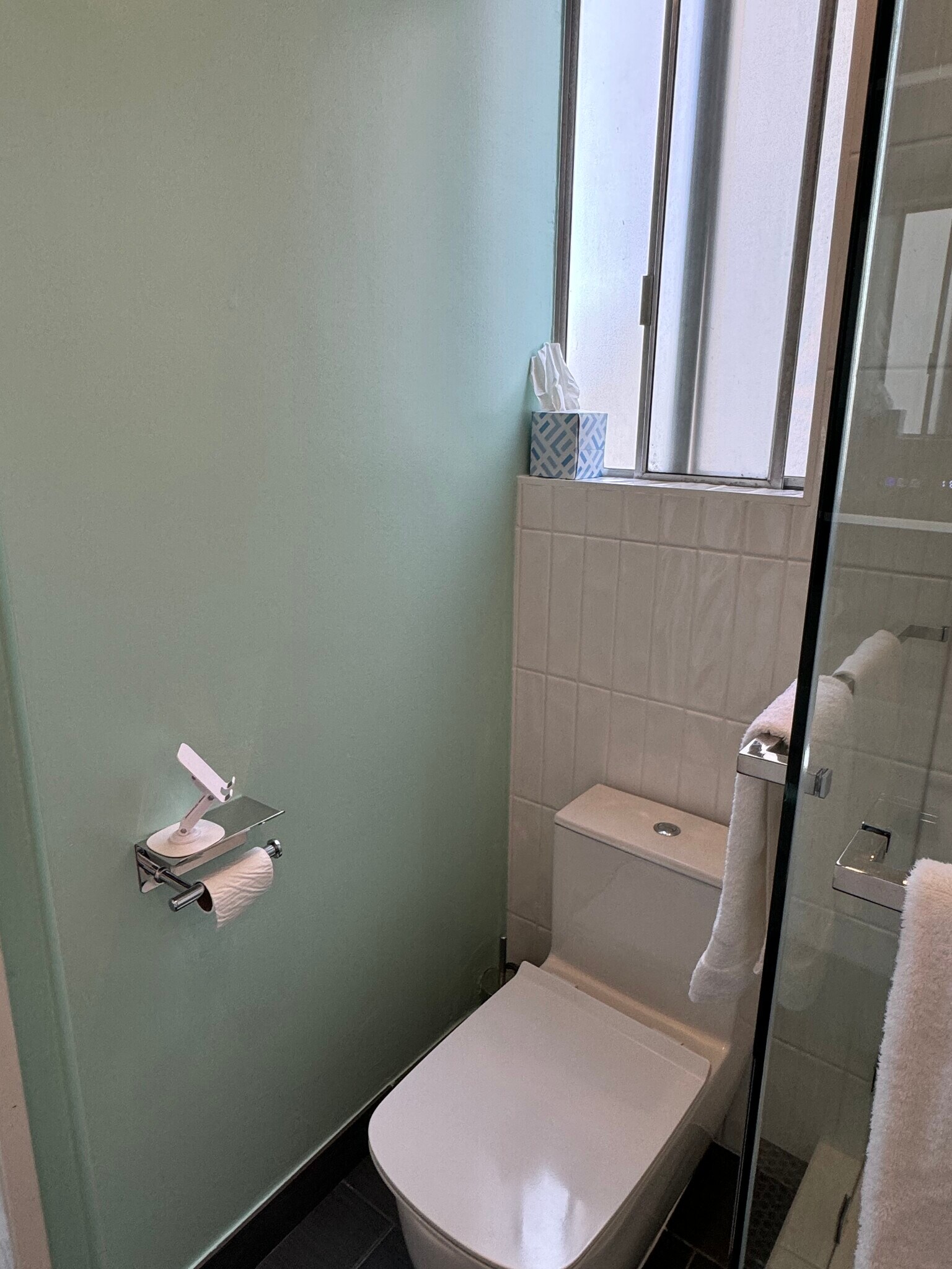 Toilet with window and tissue holder to place your phone - 8530 Holloway Dr