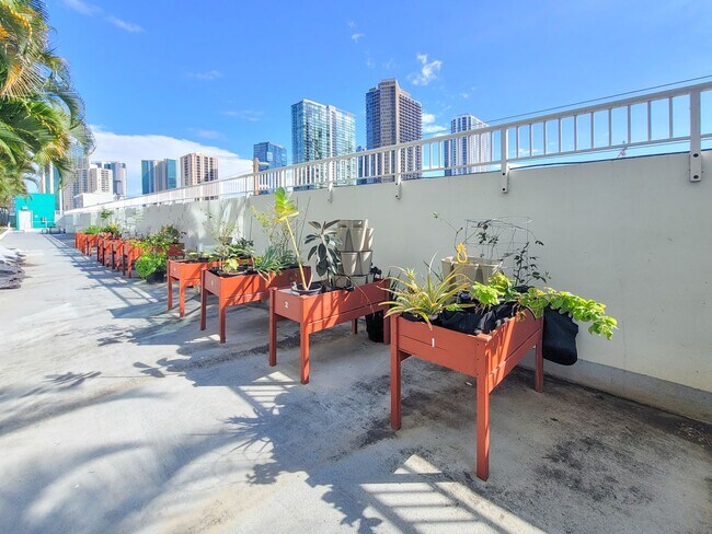 Building Photo - 1BR / 1Bath / 1Pkg - Condo in Kakaako Avai...