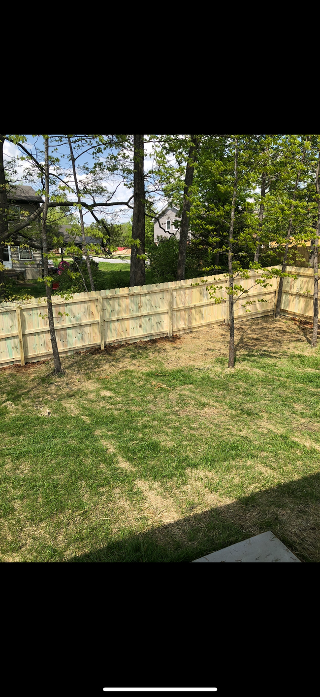 Fenced in backyard - 1337 Busiris Dr