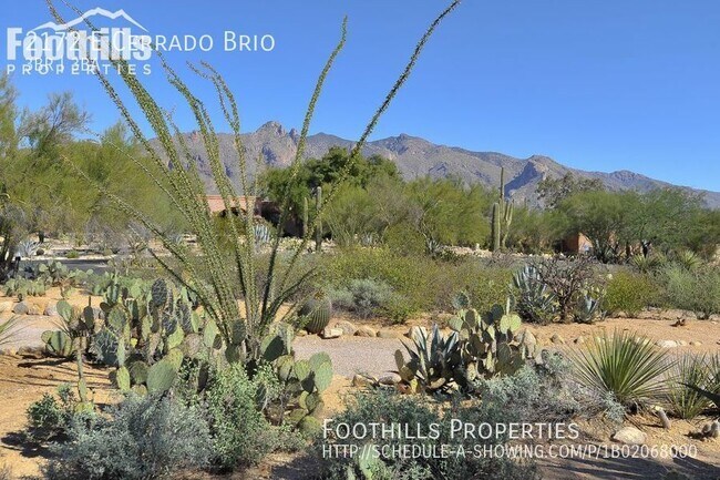 Building Photo - 2172 E Cerrado Brio