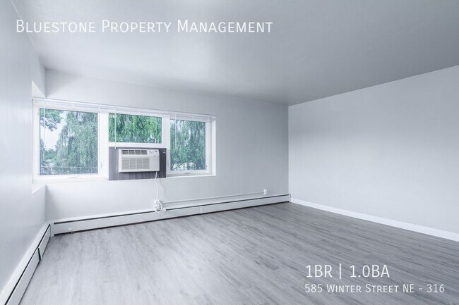 Building Photo - 585 Winter St NE