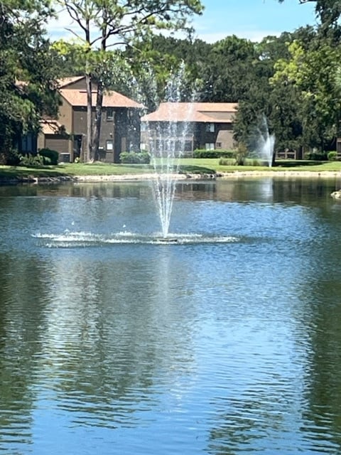 Fountain view - 43 Hembury Ln