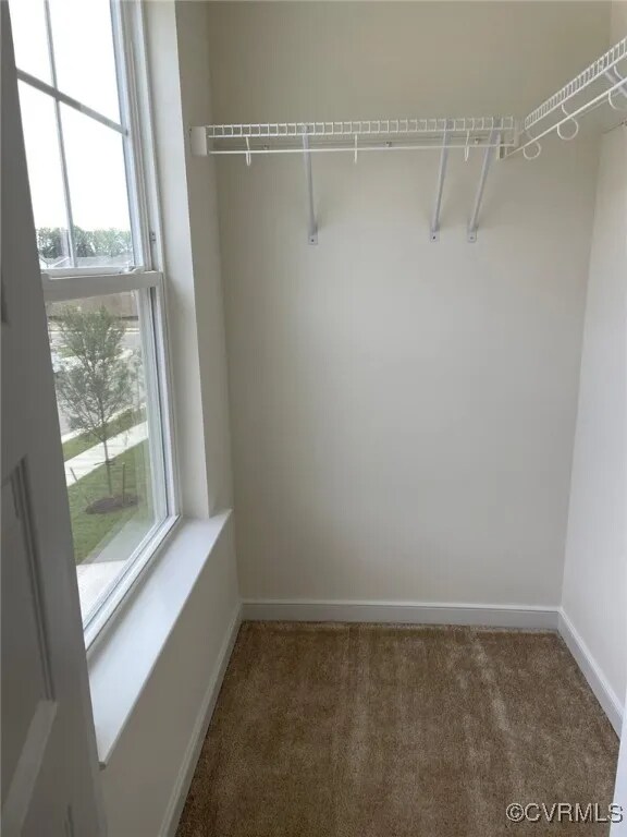 Building Photo - 10823 Farmstead Ml Ln