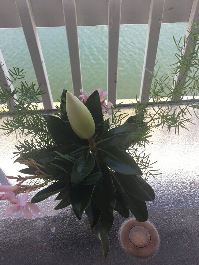 Building Photo - 5132 Beach Dr SE