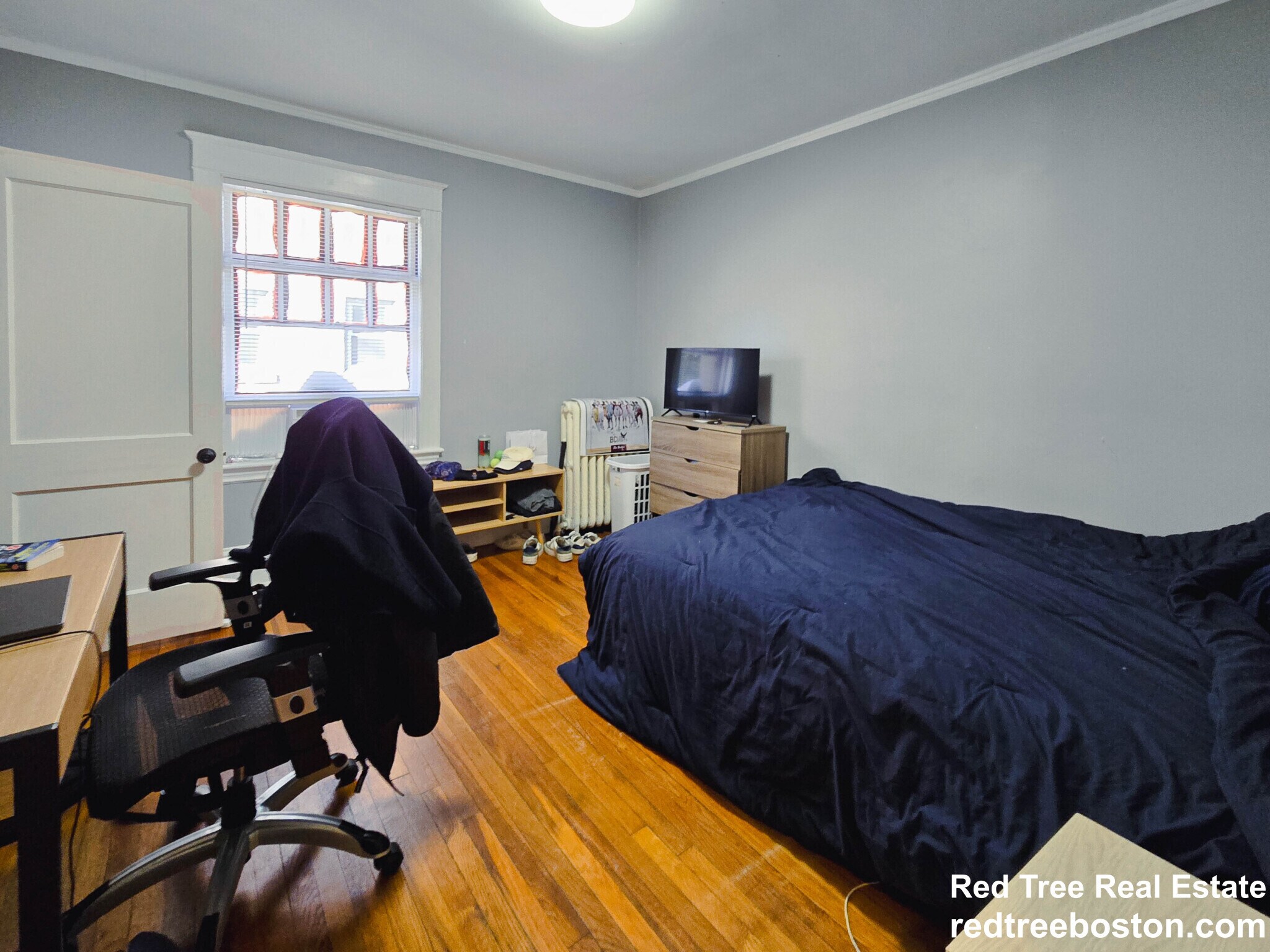 Building Photo - 237 Chestnut Hill Ave