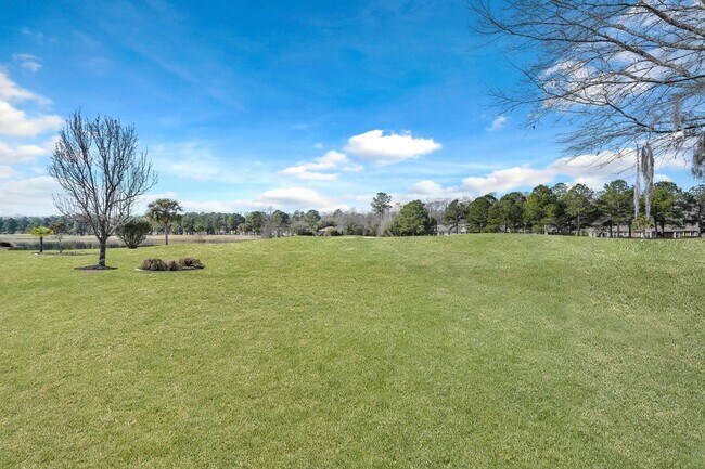 Building Photo - 49 Penny Creek Dr