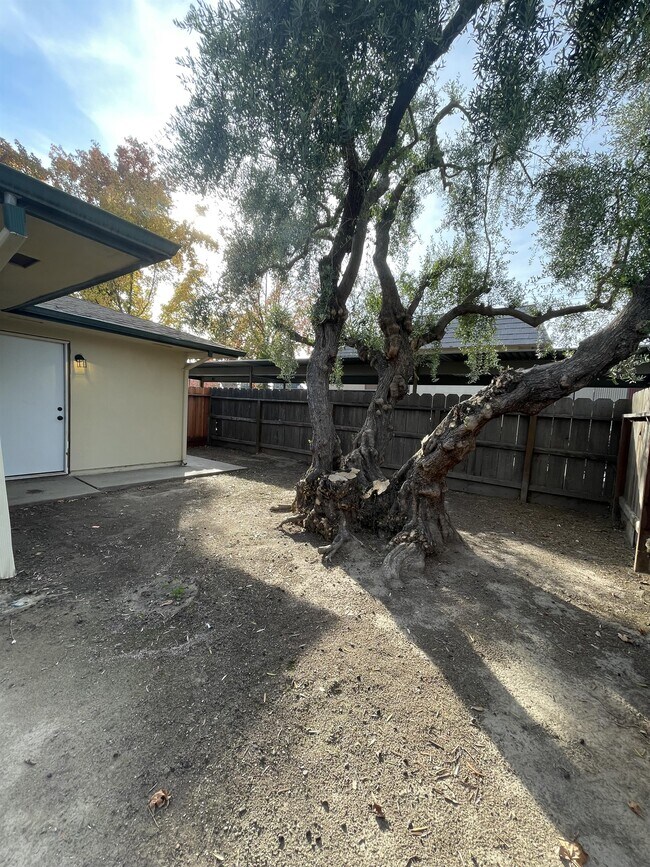 Building Photo - 1305 E Rumble Rd