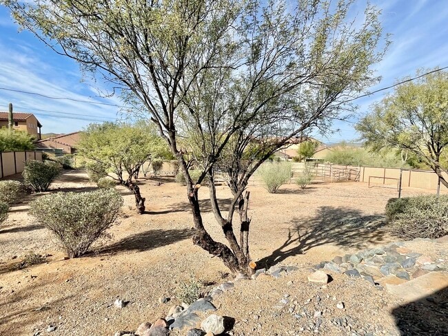 Building Photo - 37830 Linda Dr