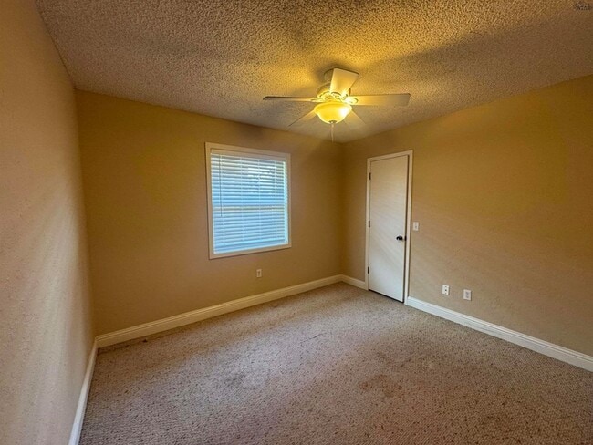 Building Photo - 2113 Selma Dr