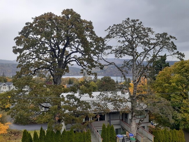 Building Photo - 1523 Lincoln St