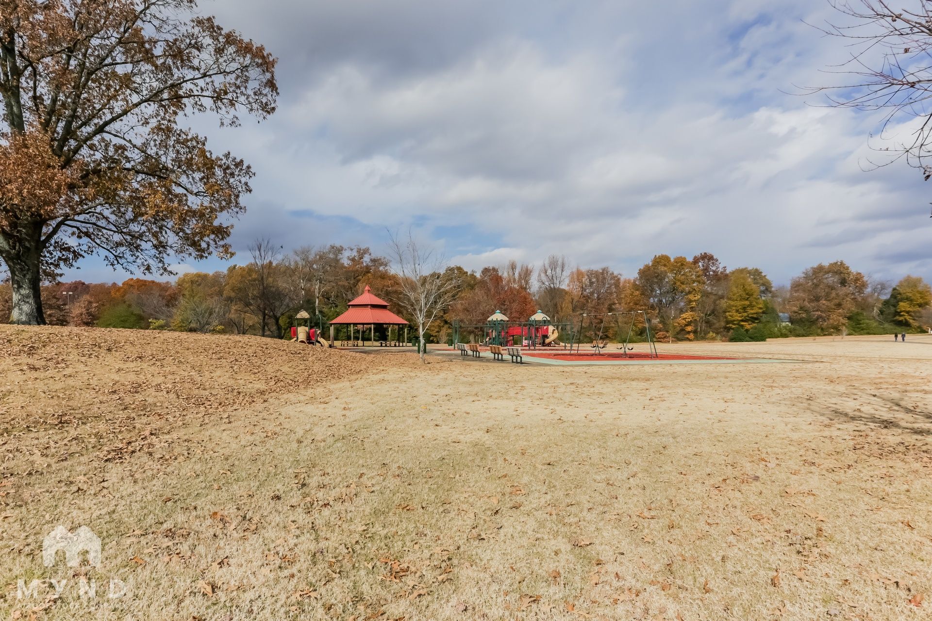 Building Photo - 4429 Richmond Oaks Dr