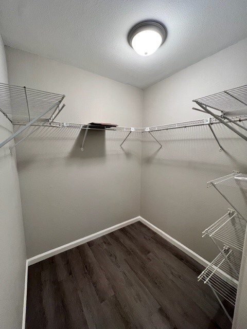 Building Photo - 116 Anns Cove