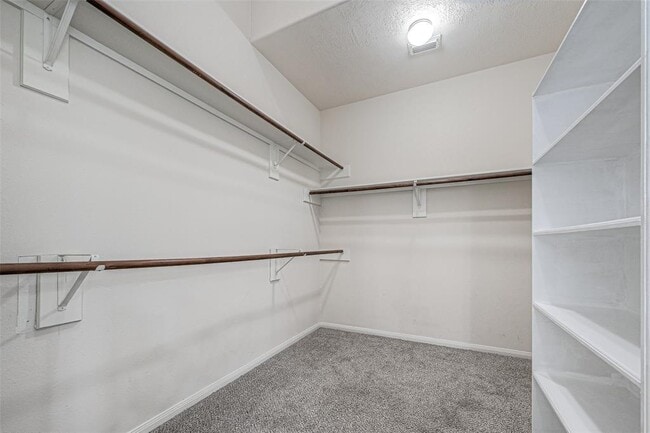 Building Photo - 9519 Stone Terrace Ct