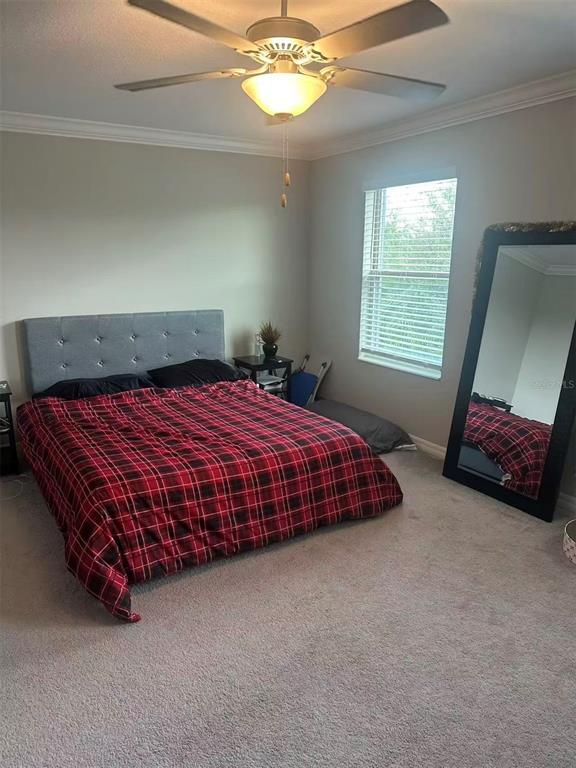 Building Photo - 1498 Cassius St