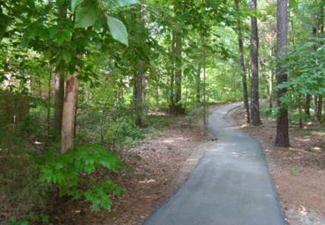 Building Photo - Stunning Furnished Home for Rent in Lochmere NC | Short-Term Lease Options Available