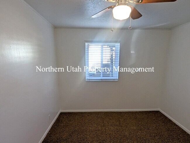 Building Photo - 1 Bed 1 Bath Lower Unit