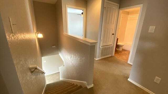 Building Photo - 2334 Cats Paw View