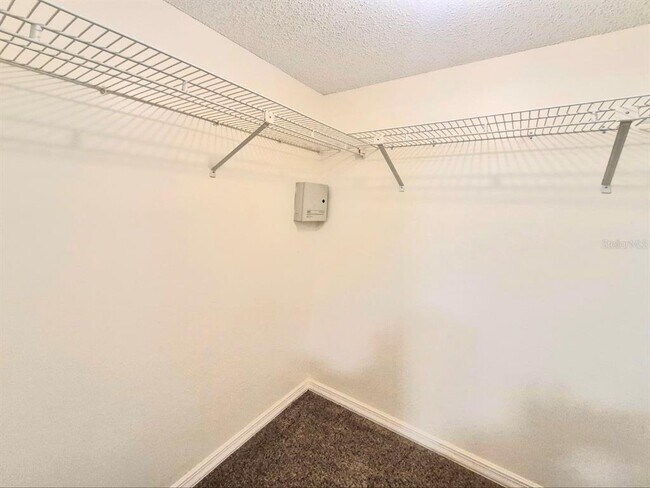 Building Photo - 2809 Bayshore Blvd