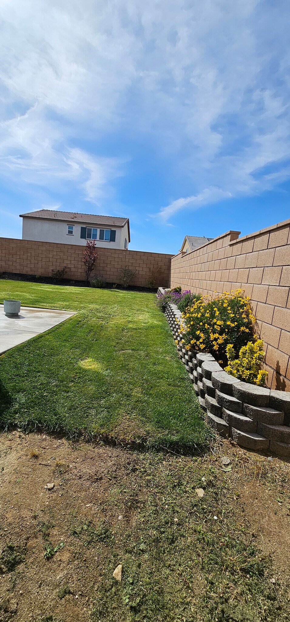 Backyard - 11386 Dunhaven Way