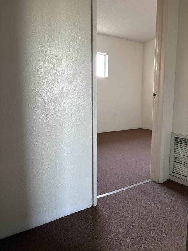 Building Photo - 433 Avenida Garza