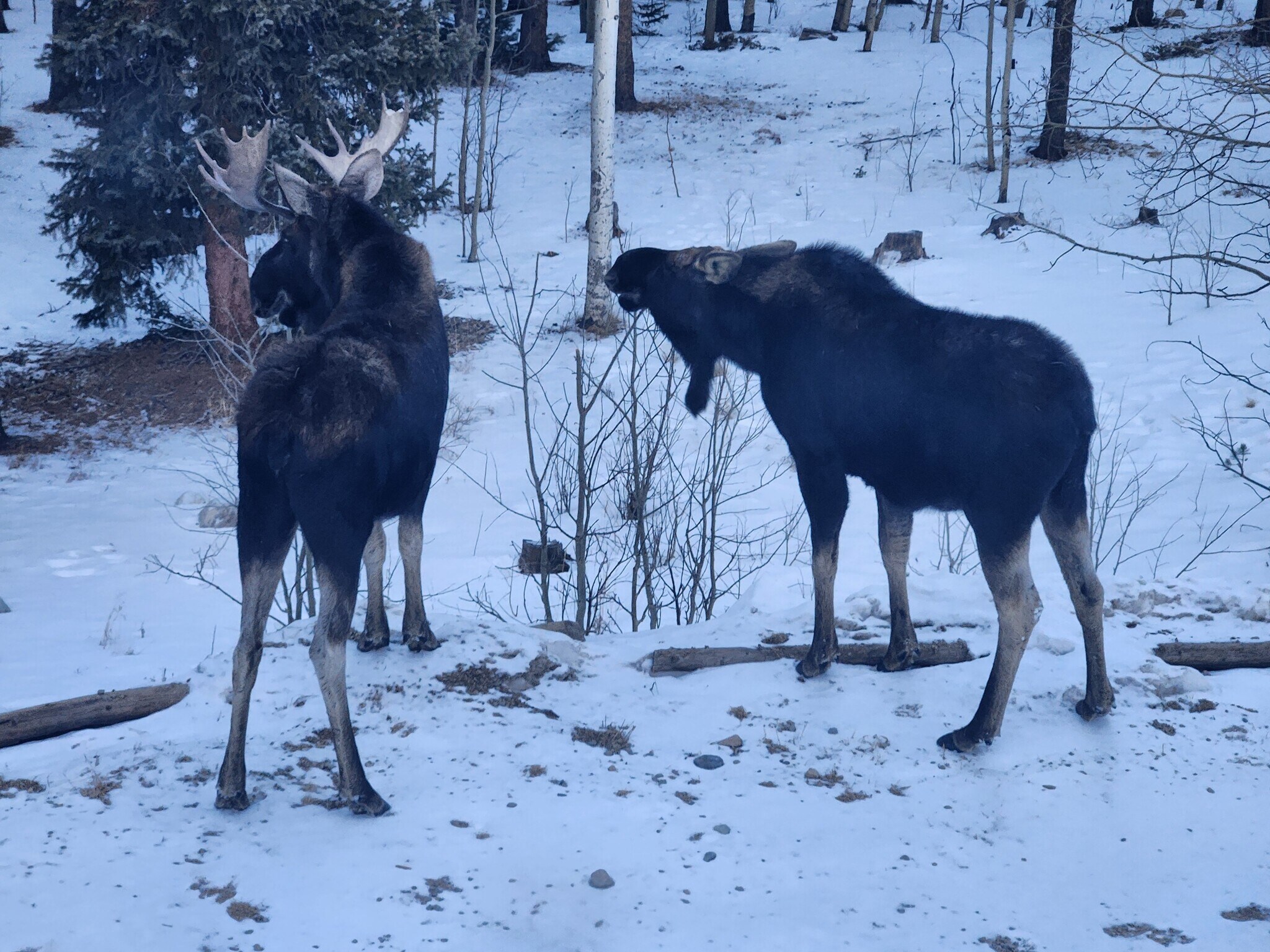 Building Photo - 4603 Co Rd 1