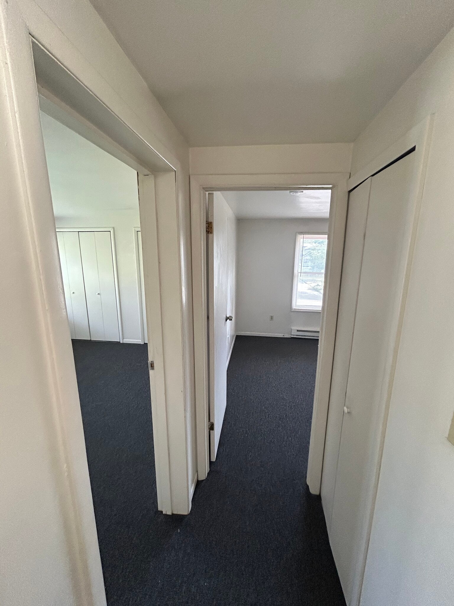Hallway (1 closet) - 209 Endwell St