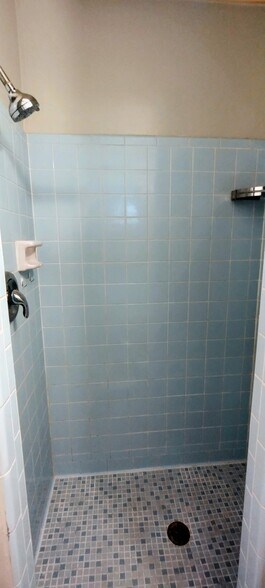 Shower - 455 39th Ave N