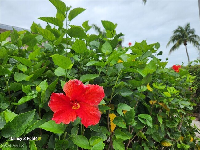 Building Photo - 805 River Point Dr