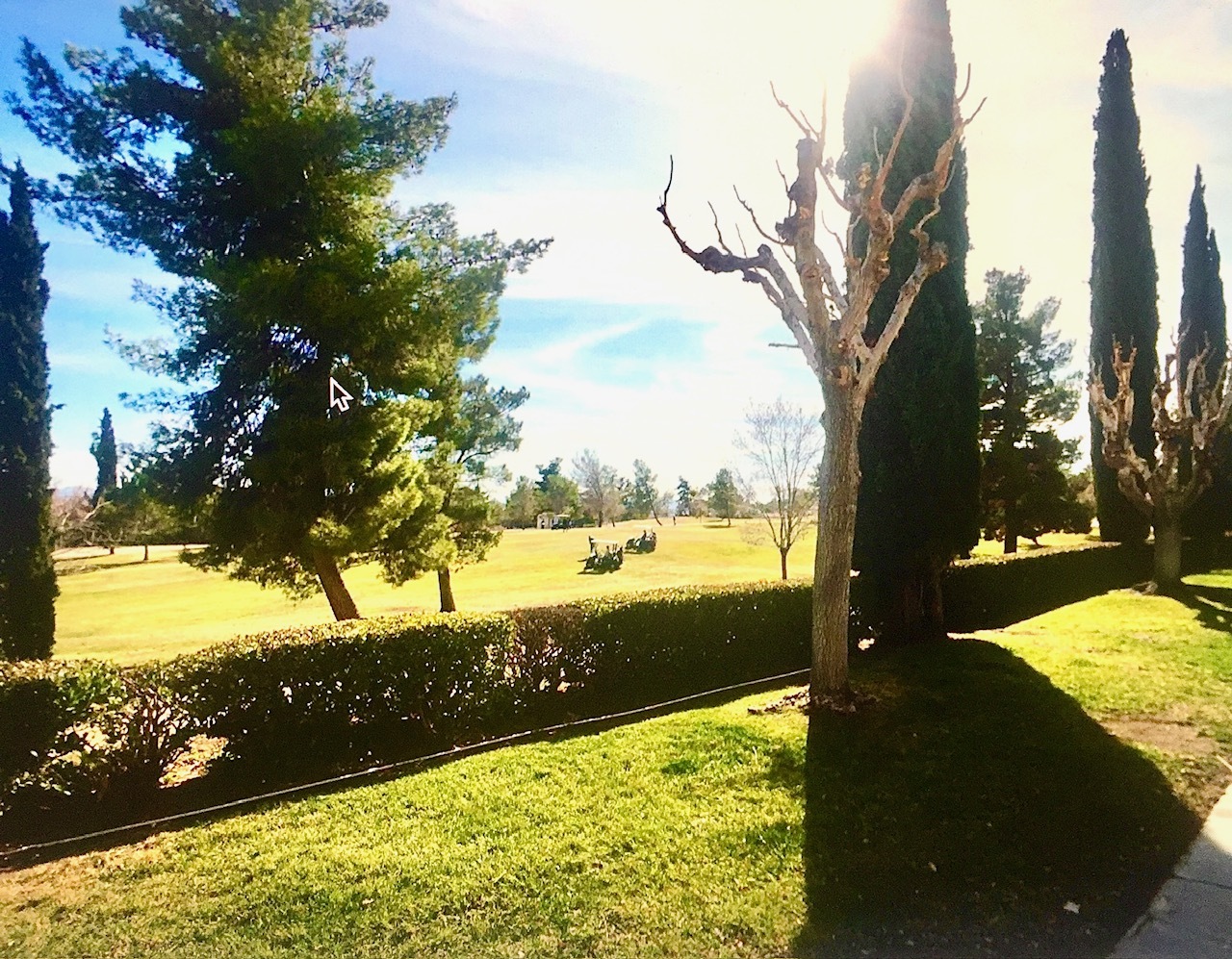 Backyard - 14305 Augusta Dr