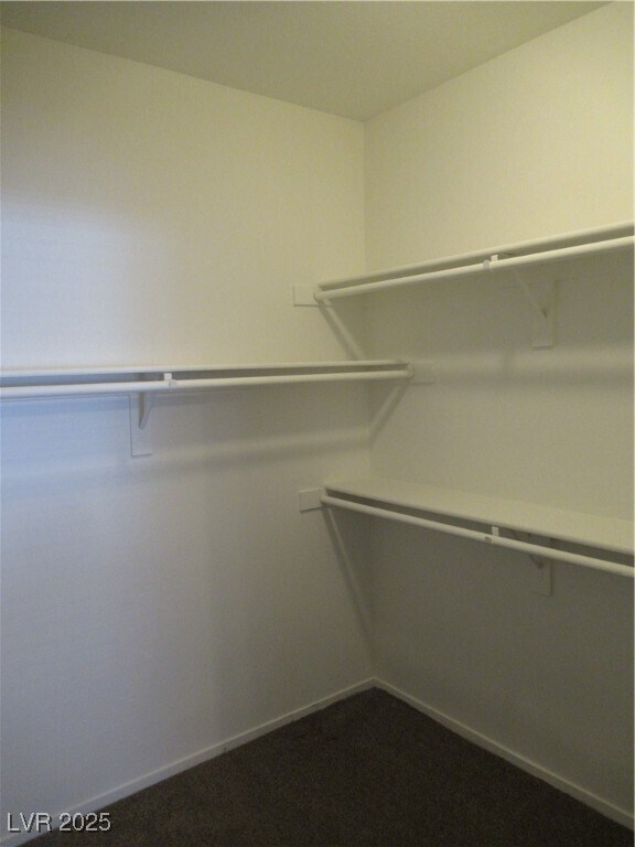 Building Photo - 833 Aspen Peak Loop