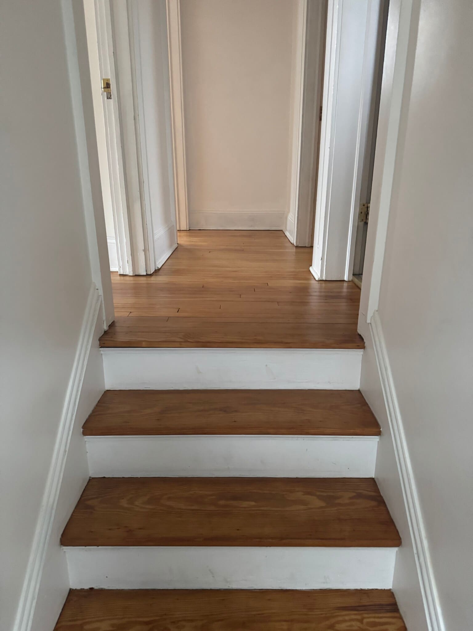 Hallway - 212 Willis Ave