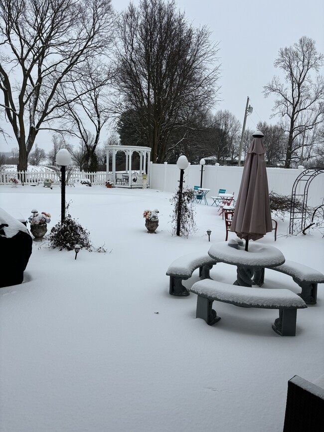 Back Yard snow view - 6245 Iron Bridges Rd