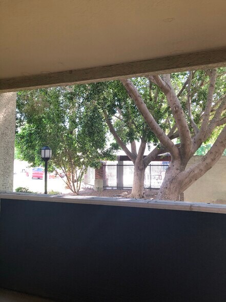 Patio - 3302 N 7th St