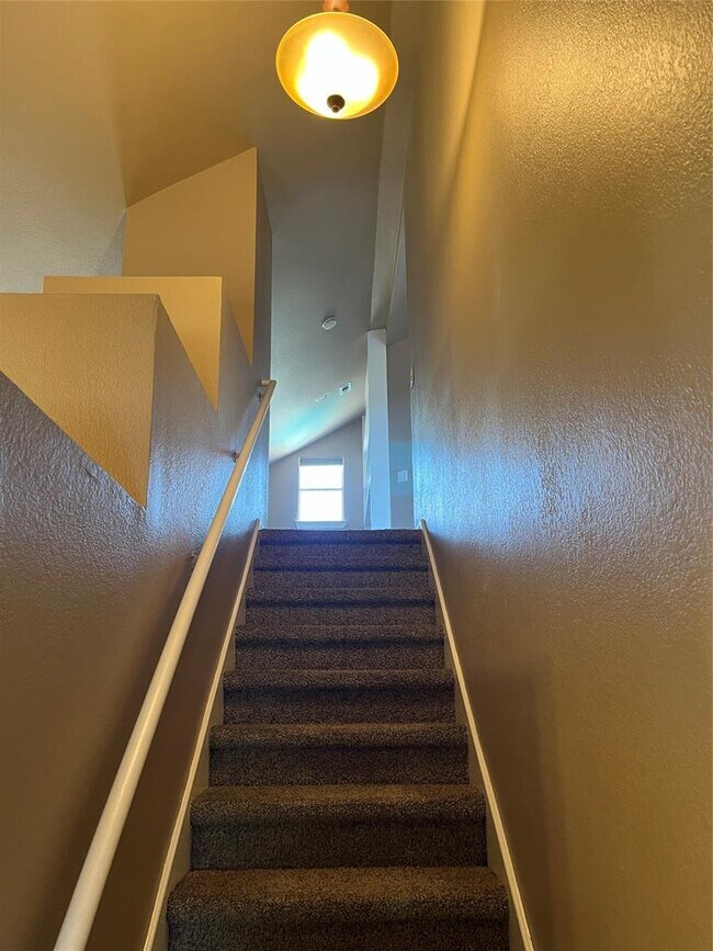 Building Photo - 2509 Tandi Trail Cove