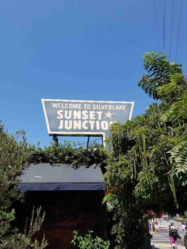 Building Photo - 851 Sanborn Ave