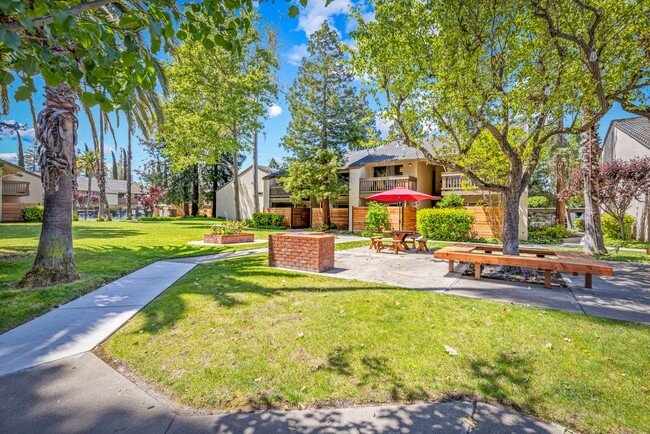 Building Photo - Walnut Creek! 1 bedroom 1 bathroom, Walk t...