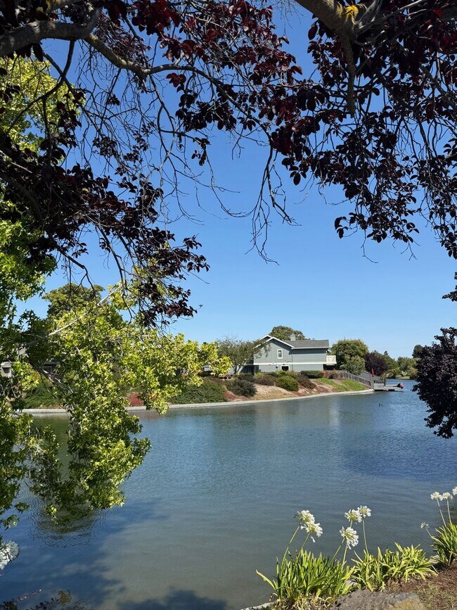 Building Photo - Alameda's most sought after gated communit...