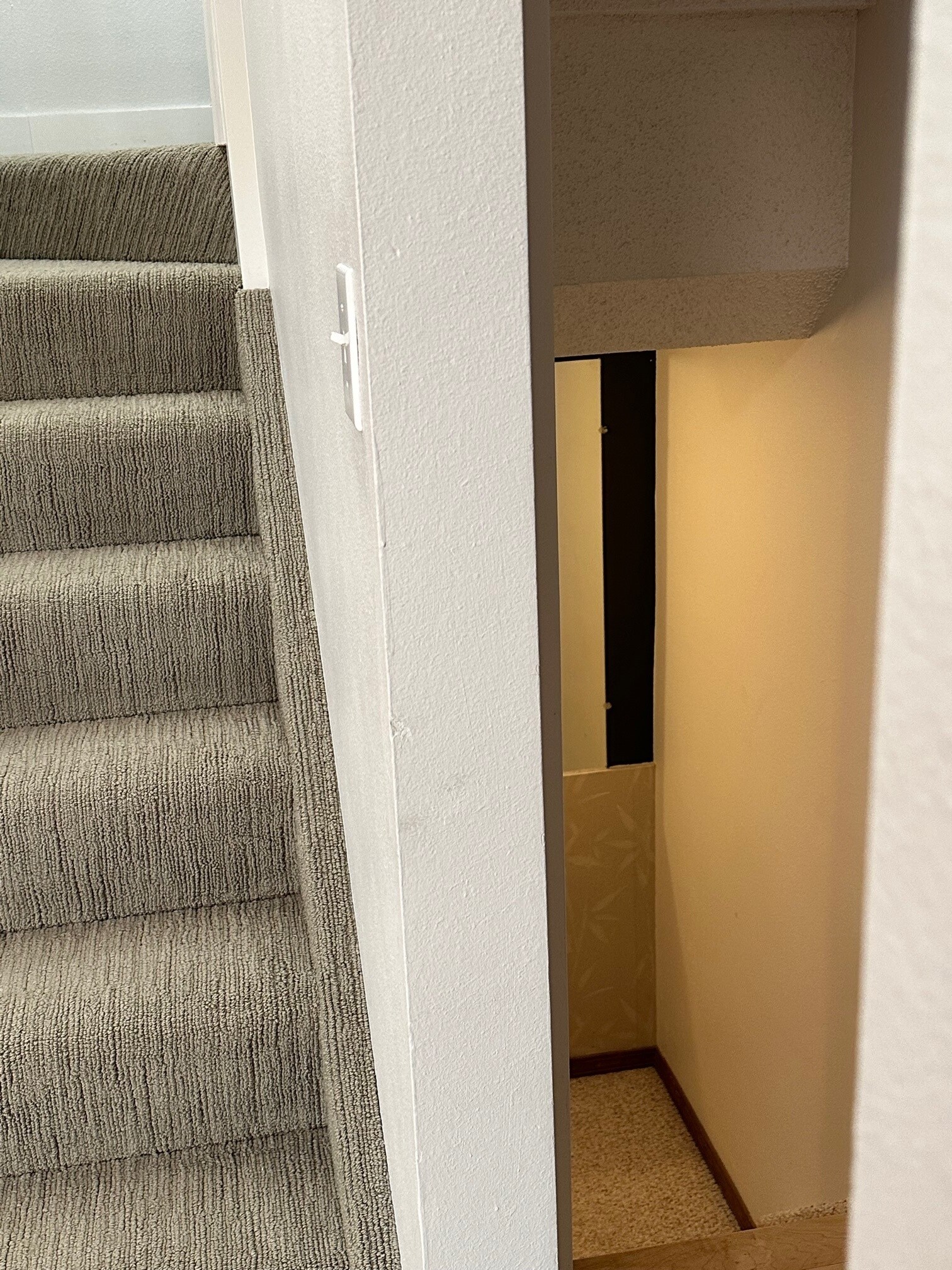 Up and down stairs from main level - 5165 Granby Cir
