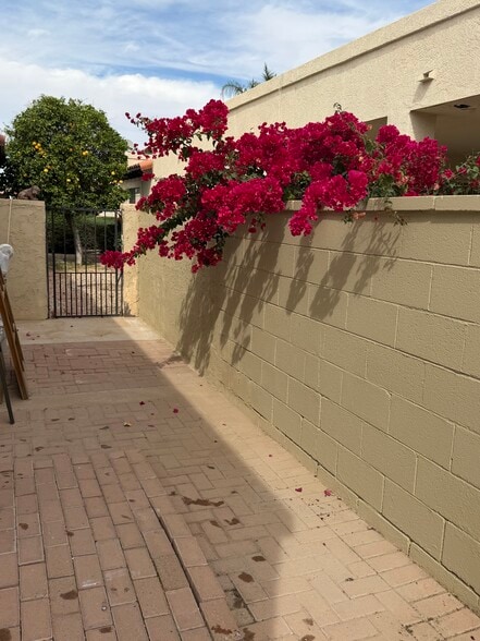 Building Photo - 729 W 37th St