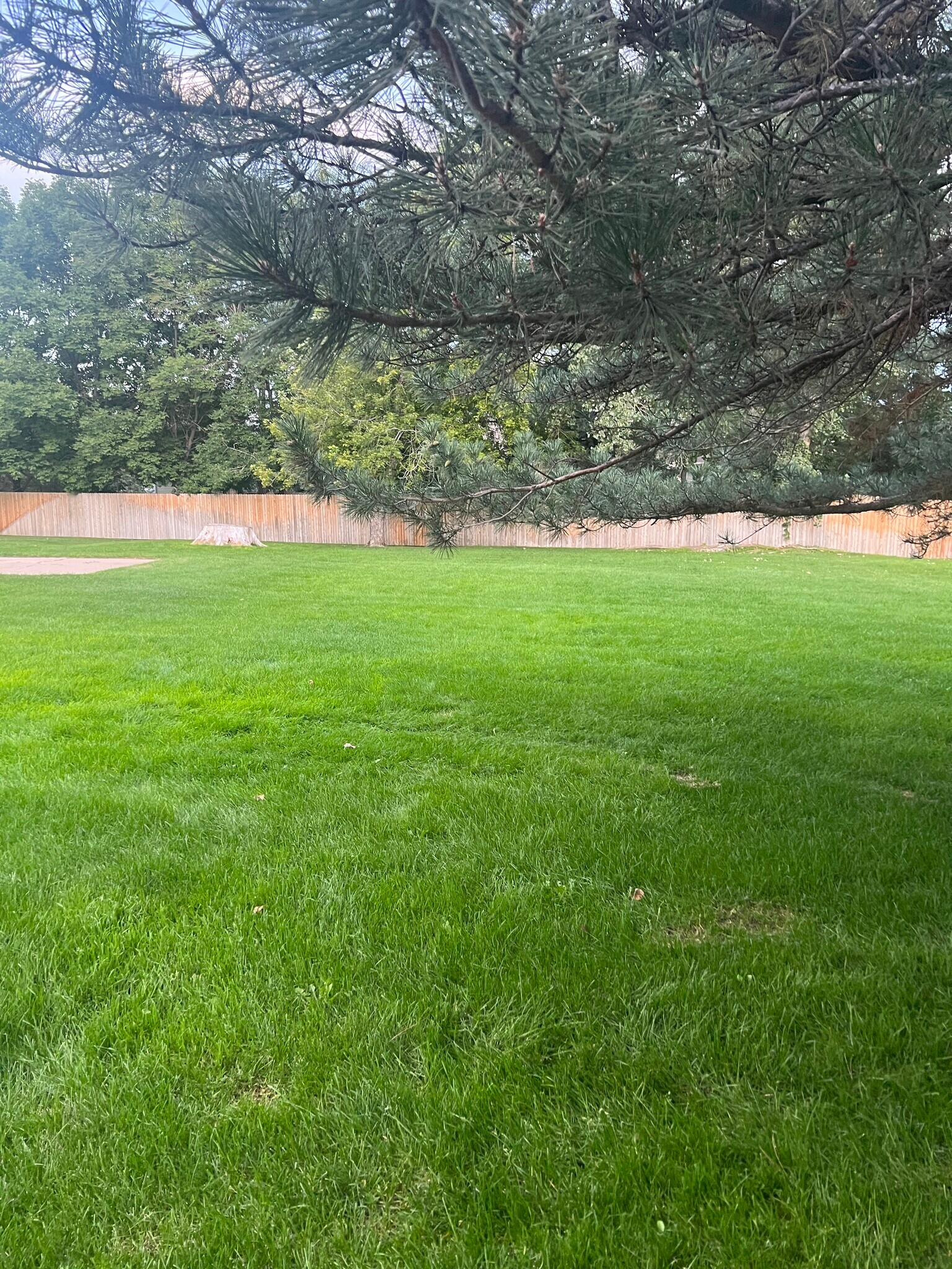 View from the front porch. - 22 Amesbury St