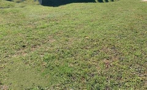 Building Photo - 7322 Bridlewood Ct
