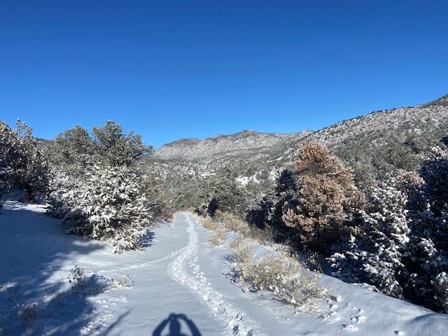 Building Photo - 254 Gribble Dr