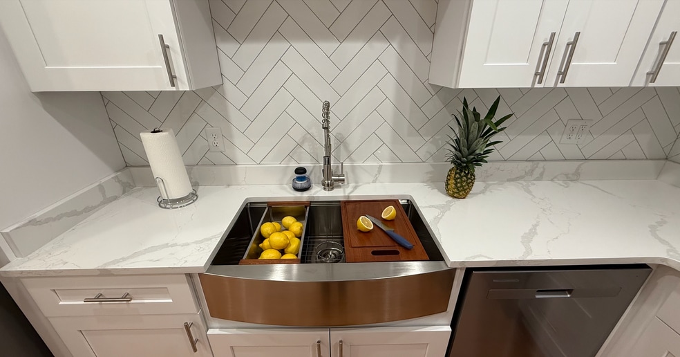 Kitchen Sink - 515 Basswood Ave