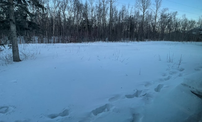 Building Photo - Spacious 3 bedroom/2 bathroom/2 car garage Ranch style home in Palmer with Soaring ceilings and m...