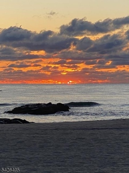 Building Photo - 217 Newark Ave